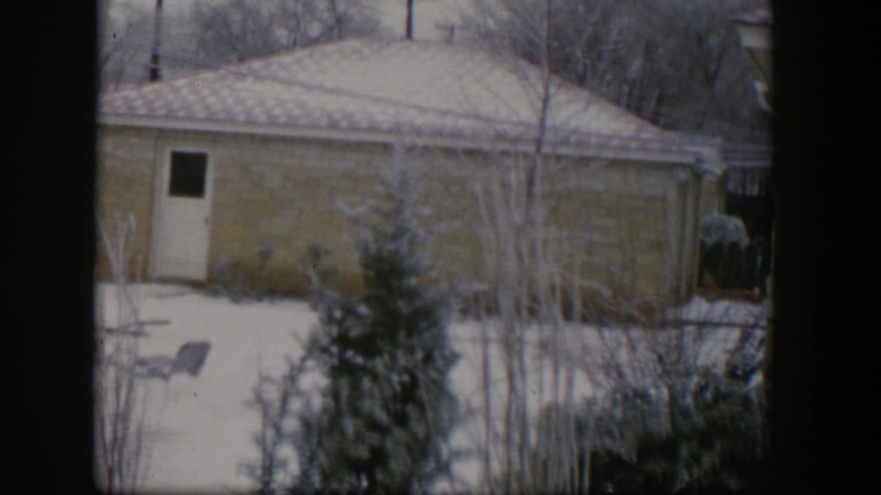 Snowy backyard with a single-story house, side door, evergreen, bare branches, and dark window borders.