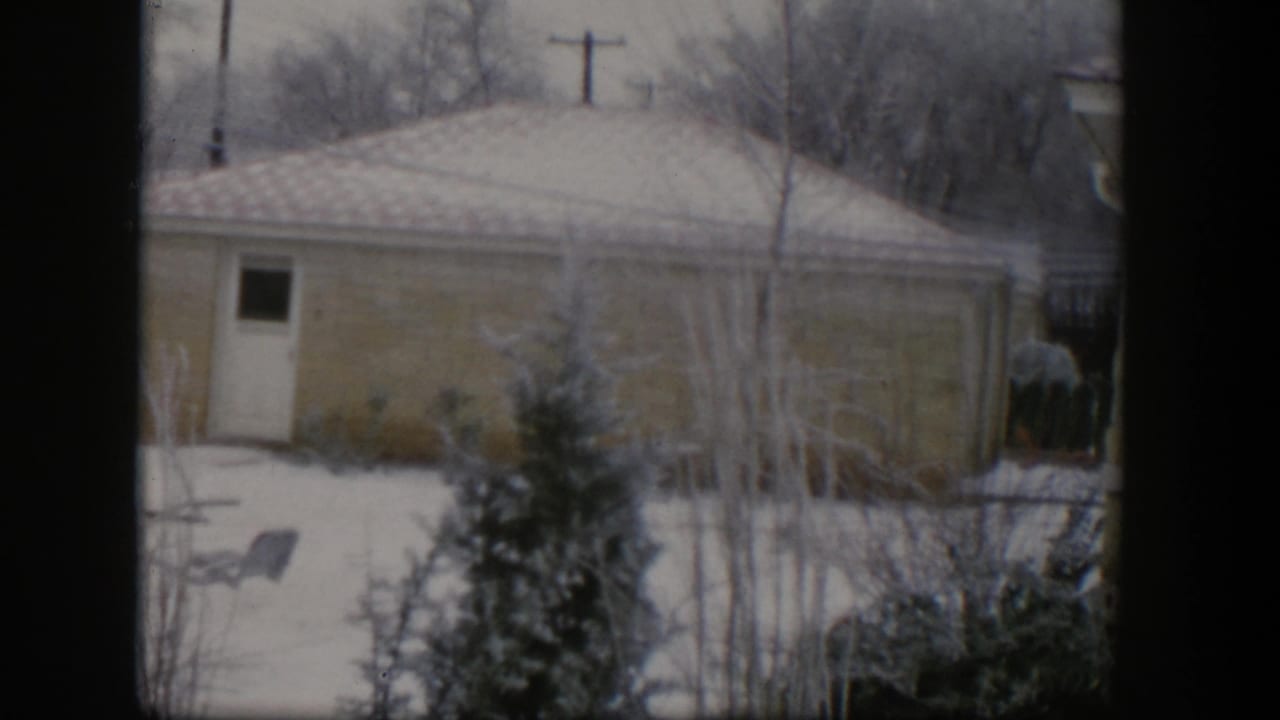 Snow blankets a backyard outside a low house, with trees, shrubs, a side door, and window-frame edges.