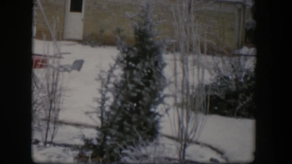 1954 Nevada home-movie frame showing snow around an evergreen and bare trees, with a house wall, side door, and small red object partly visible.
