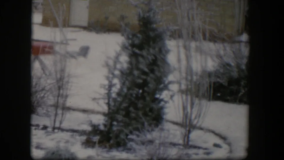 1954 Nevada frame showing a snow-covered residential yard with evergreen and bare trees, a house wall, partial red object, and window-frame borders.