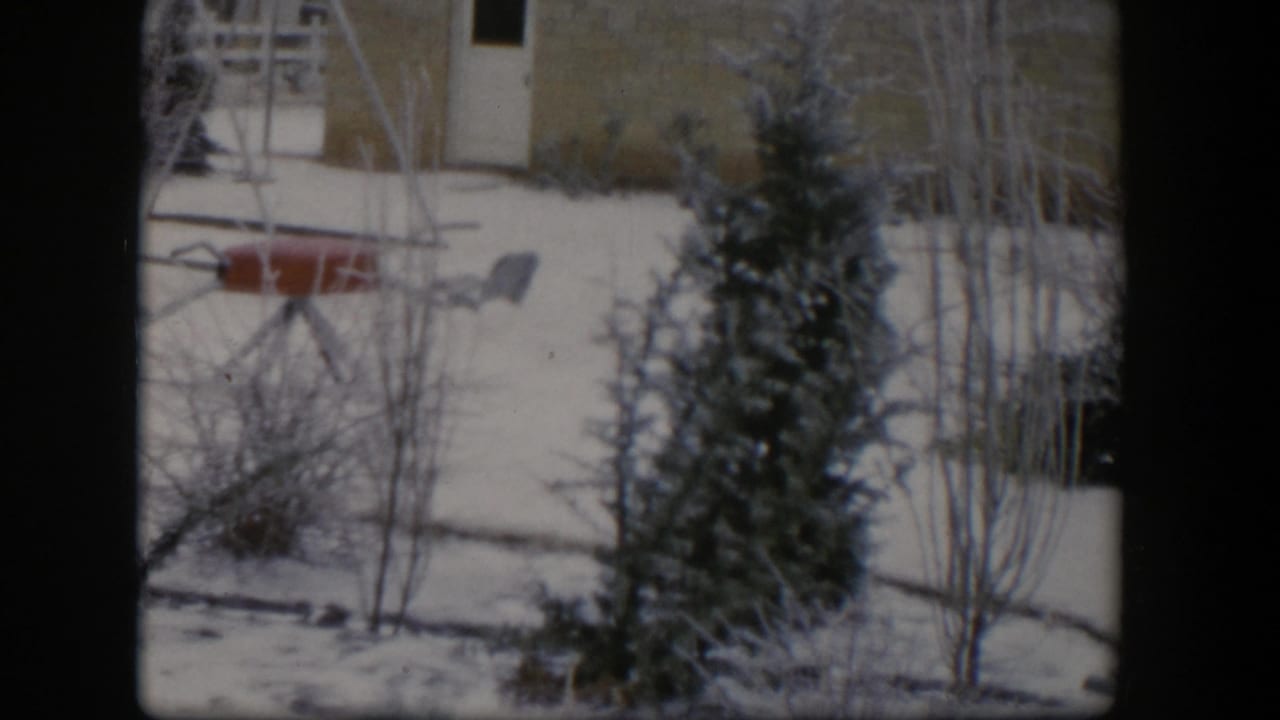 Snowy backyard with red and gray playground set, pine tree, bare branches, and house wall.