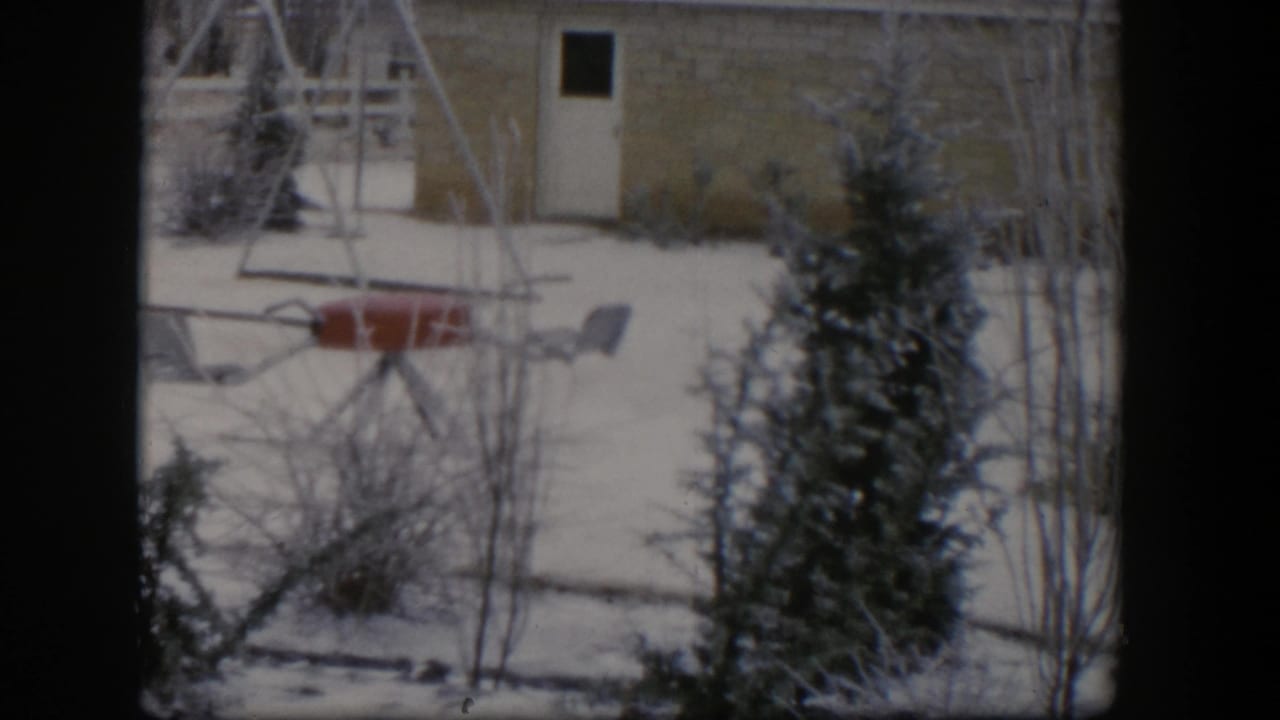 Snowy yard with playground equipment, evergreen tree, bare shrubs, and white door in background.