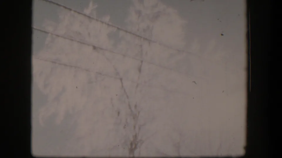 1954 Nevada home-movie frame looking up at bare branches, overhead wires, and a pale gray winter sky.