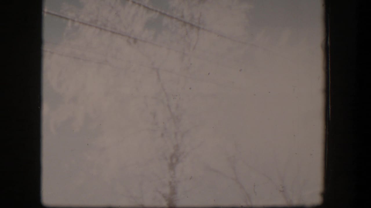 1954 Nevada home-movie frame with bare branches, faint utility wires, and a pale sky in soft 8mm exposure.
