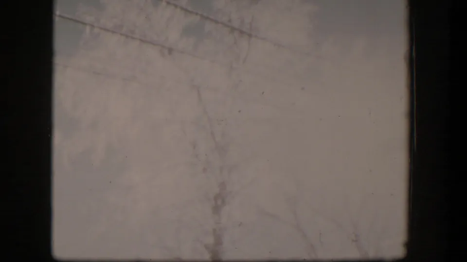 1954 Nevada home-movie frame with bare branches, faint utility wires, and a pale sky in soft 8mm exposure.