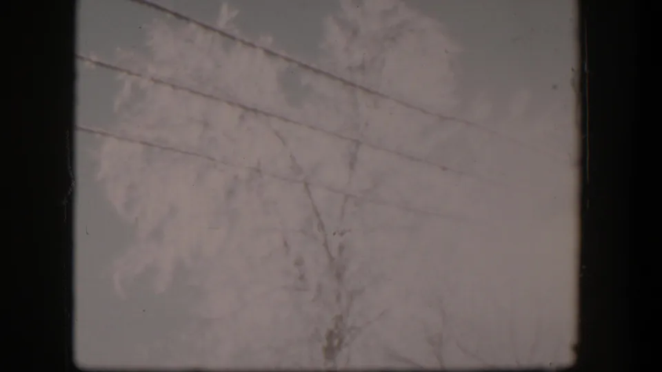 Soft 8mm view of bare Nevada trees and electric wires, with the rural background mostly obscured by haze and exposure.