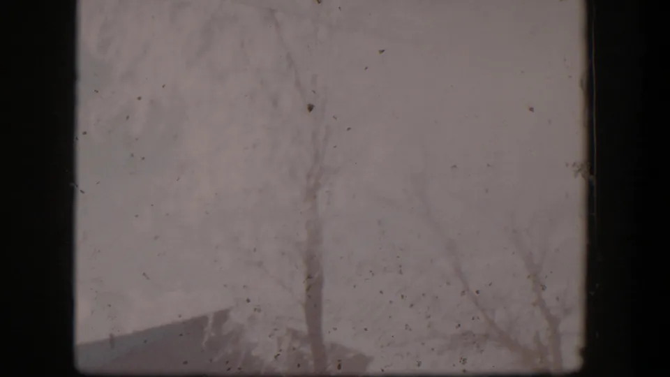 Washed 1954 Nevada farm view with bare trees, faint fencing, and light-toned ground in a static home-movie frame.