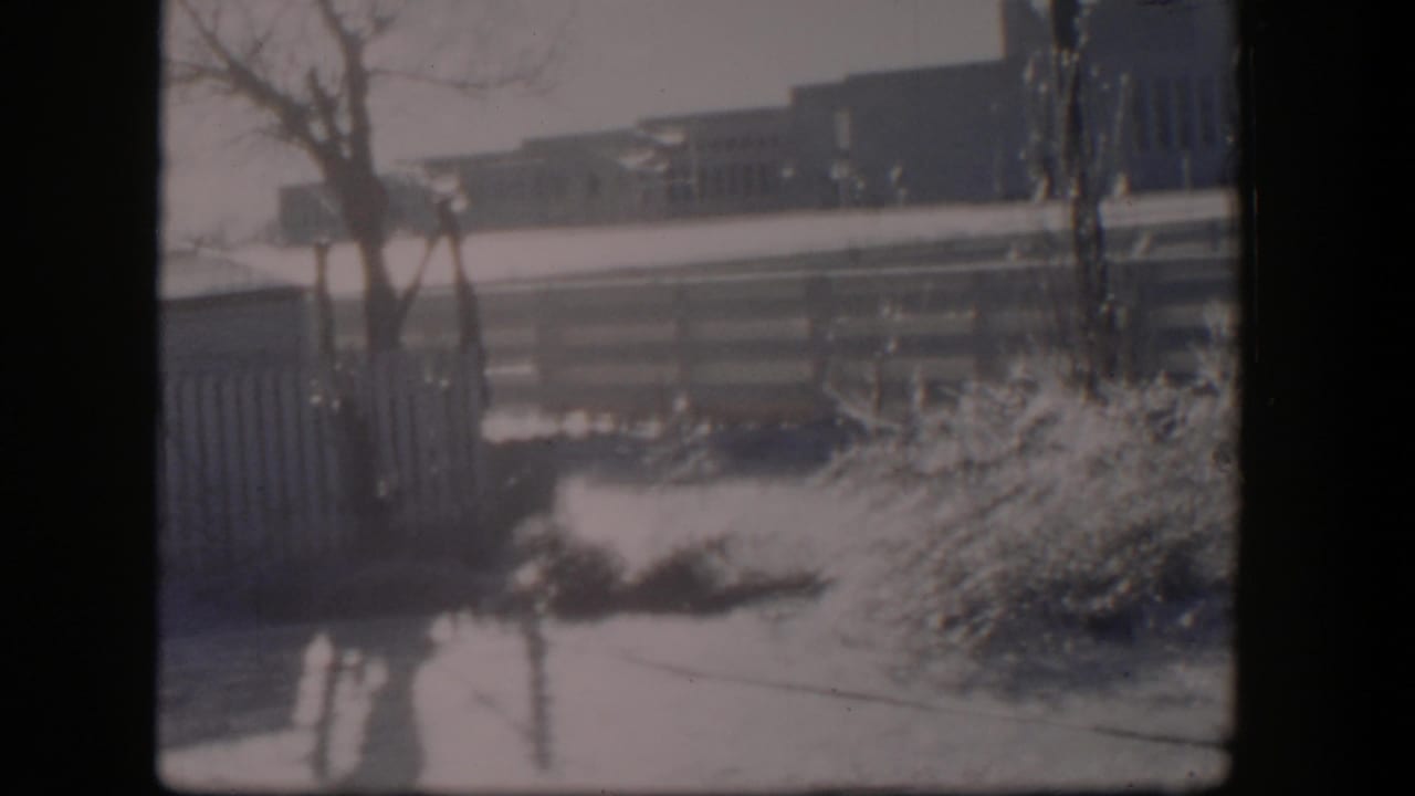 Snow-covered yard with a wooden fence, bare trees, shrubs, and distant buildings.