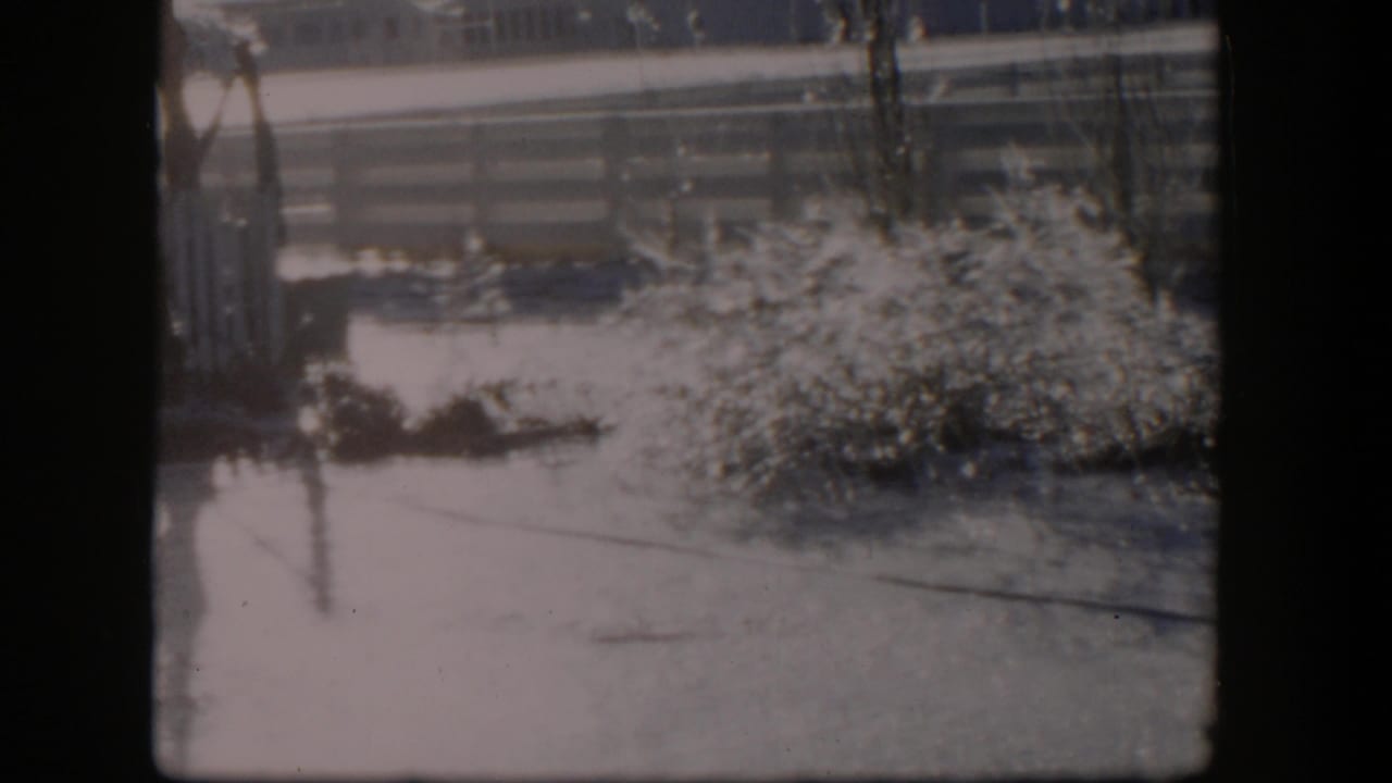 Snowy ground and frosted shrubs beside a fence, with bare trees and buildings beyond.