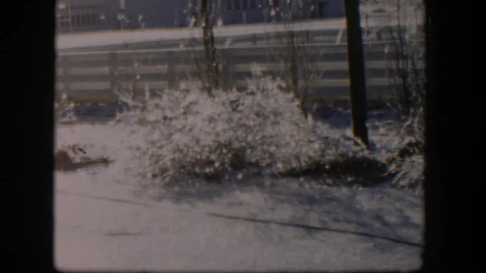1954 Nevada 8mm frame with bright snow on grass and shrubs, a fence behind them, and a bare tree trunk at the right edge.
