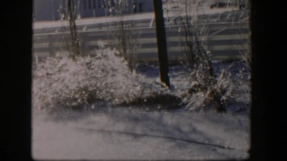 1954 Nevada winter frame showing sunlit snow on shrubs and grass, fence rails, bare branches, and a dark tree trunk.