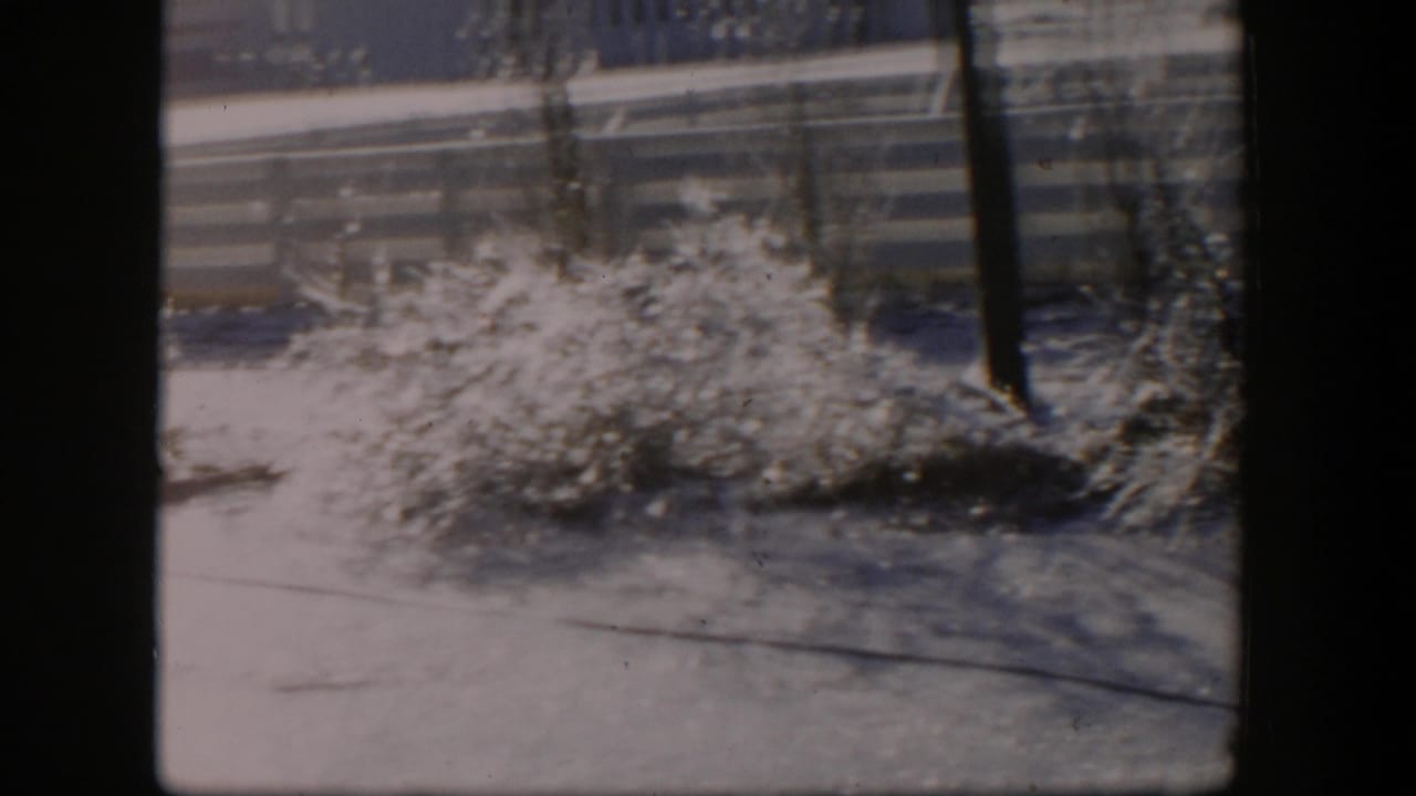 1954 Nevada 8mm frame showing icy bushes, snow on the ground, a fence, and a utility pole in a quiet winter yard.