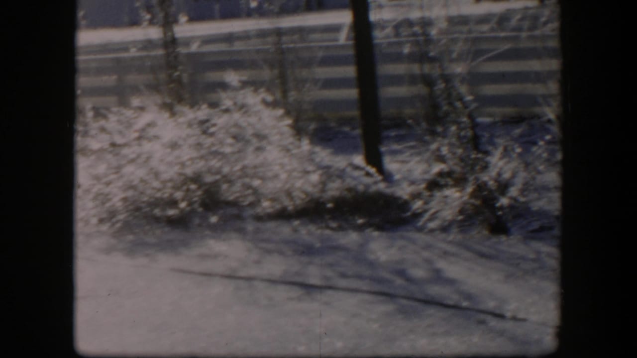 Icy shrubs and bare branches in front of a horizontal wooden fence.