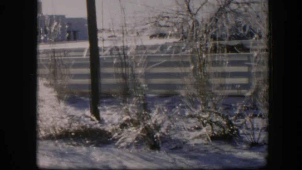 1954 Nevada home-movie frame showing a snowy yard, frost-coated bushes, bare trees, a fence, and a utility pole.