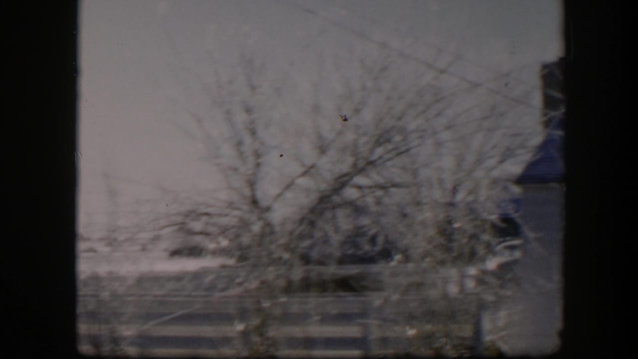 Window-framed view of snow, bare trees, a striped fence, and a house edge at right.