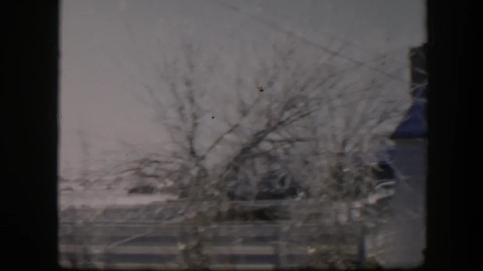 1954 Nevada home-movie frame showing a snowy residential yard through a window, with leafless trees, a striped fence, and part of a house.