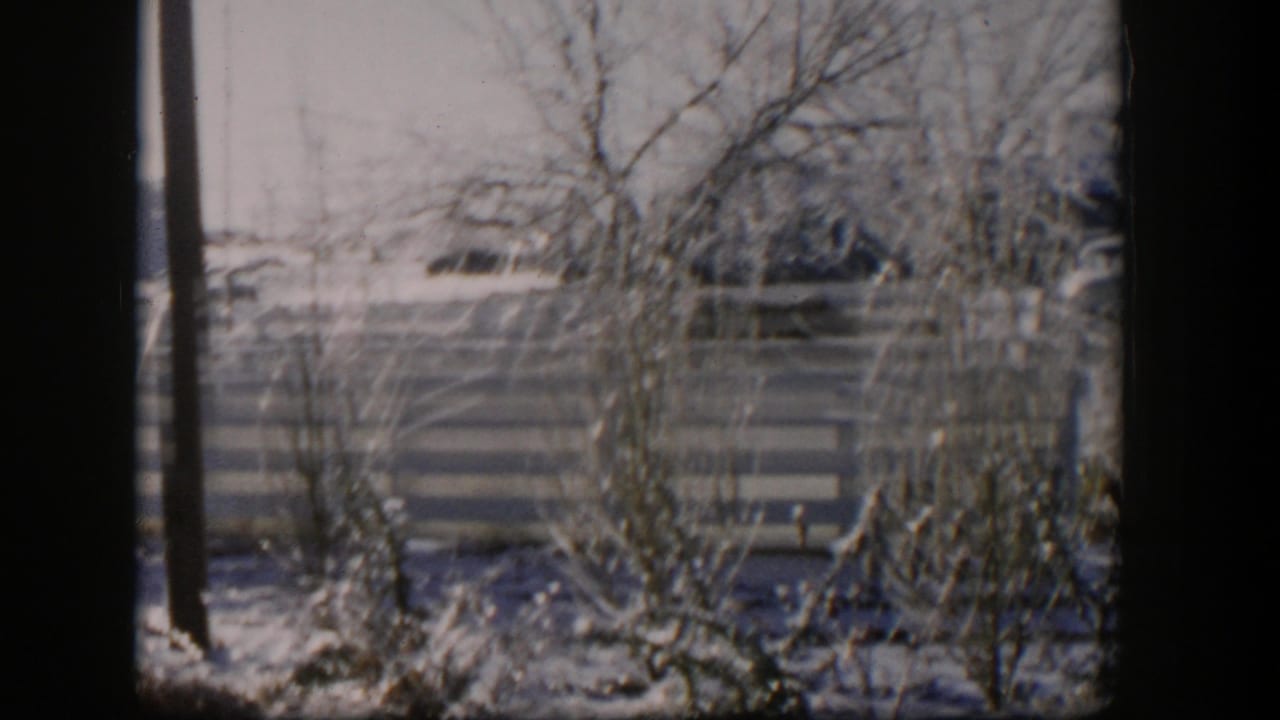 1954 Nevada 8mm frame showing frost-covered yard plants, bare branches, and a horizontal wooden fence.