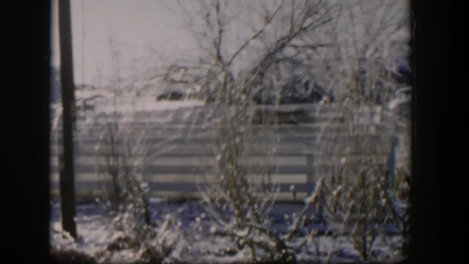 1954 Nevada 8mm frame showing frost-covered yard plants, bare branches, and a horizontal wooden fence.