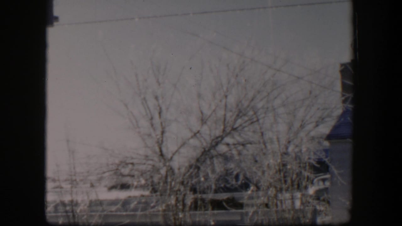 Bare icy tree branches above a fence with a building edge at right.