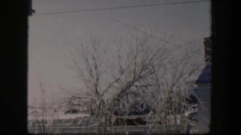 1954 Nevada home-movie frame with icy branches, a pale winter sky, a wooden fence, and part of a structure at the edge.