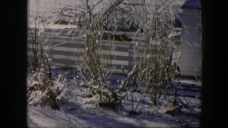 1954 Nevada 8mm frame showing frozen shrubs, bare trees, a fence, and a partial building in a winter yard.