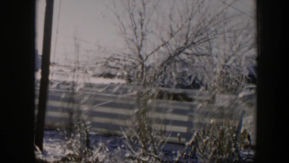 1954 Nevada 8mm frame of frost-covered branches, a wooden fence, and snow or ice across the yard ground.