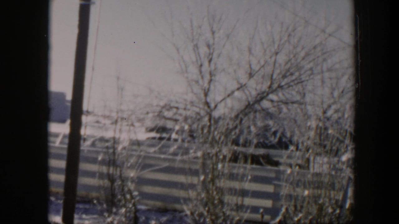 1954 Nevada 8mm frame showing frosted leafless trees, a pale fence, snow on the ground, and dark vehicle-window edges.