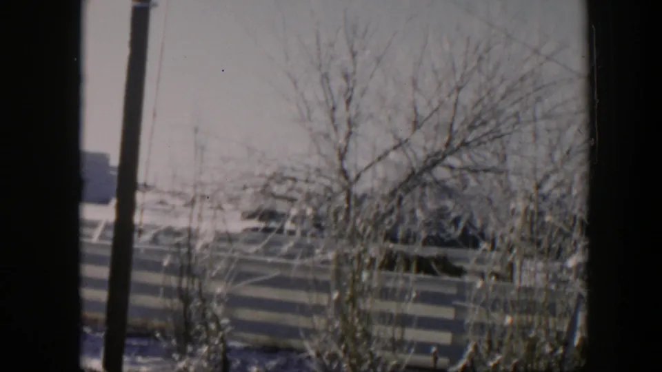 1954 Nevada 8mm frame showing frosted leafless trees, a pale fence, snow on the ground, and dark vehicle-window edges.