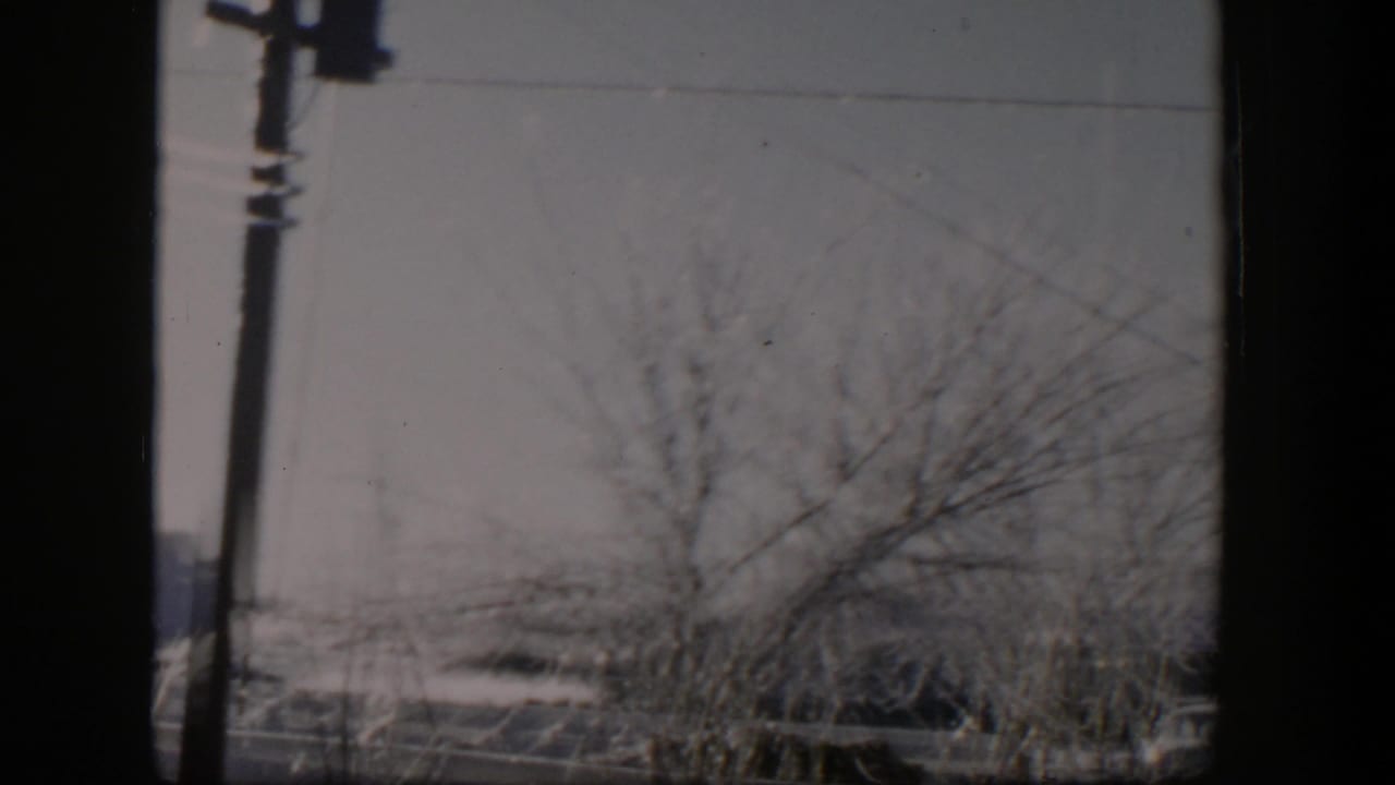 Utility pole, overhead wires, and frosted shrubs along a winter roadside.