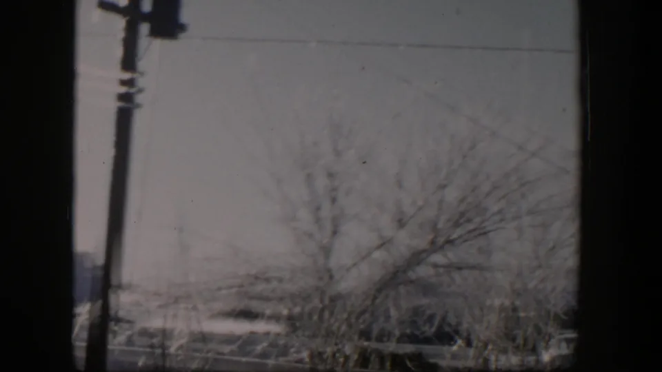 1954 Nevada 8mm frame with a utility pole, overhead lines, bare winter branches, and snowy ground viewed from a moving car.