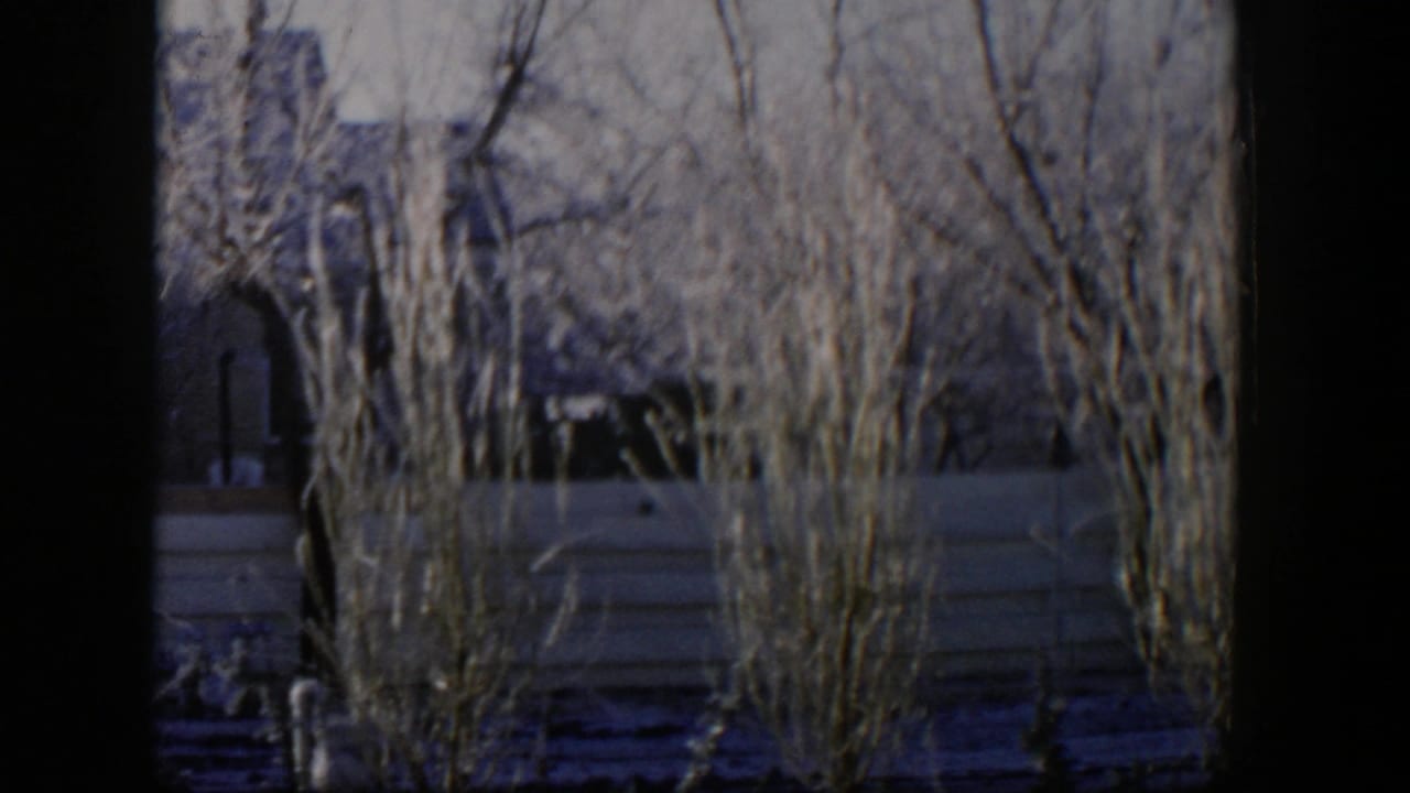 Bare winter trees in front of a pale fence with a distant house behind them.