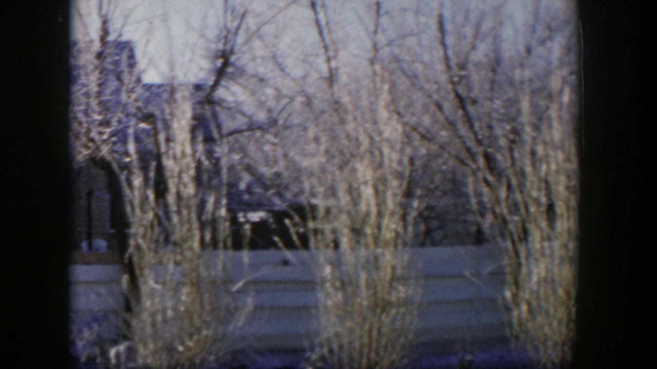 Bare trees and brush obscure a fence and house with a pale sky overhead.
