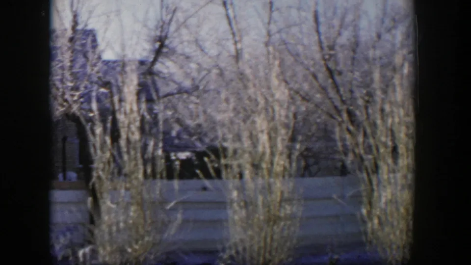 1954 Nevada home-movie frame with leafless trees, winter brush, a pale fence, and a house form seen through branches under a washed sky.