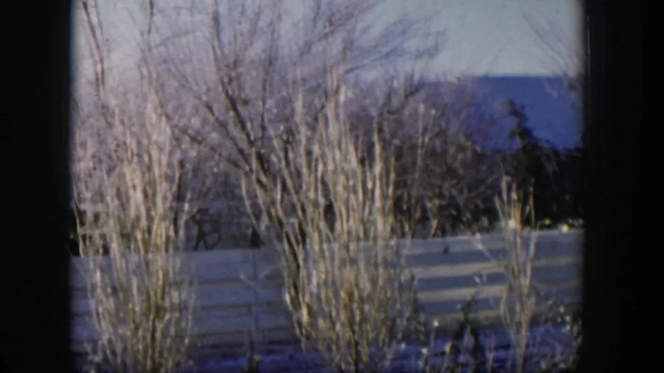 1954 Nevada 8mm frame showing dense bare trees and brush, a light fence, snow near the ground, and blue hills beyond the residential edge.