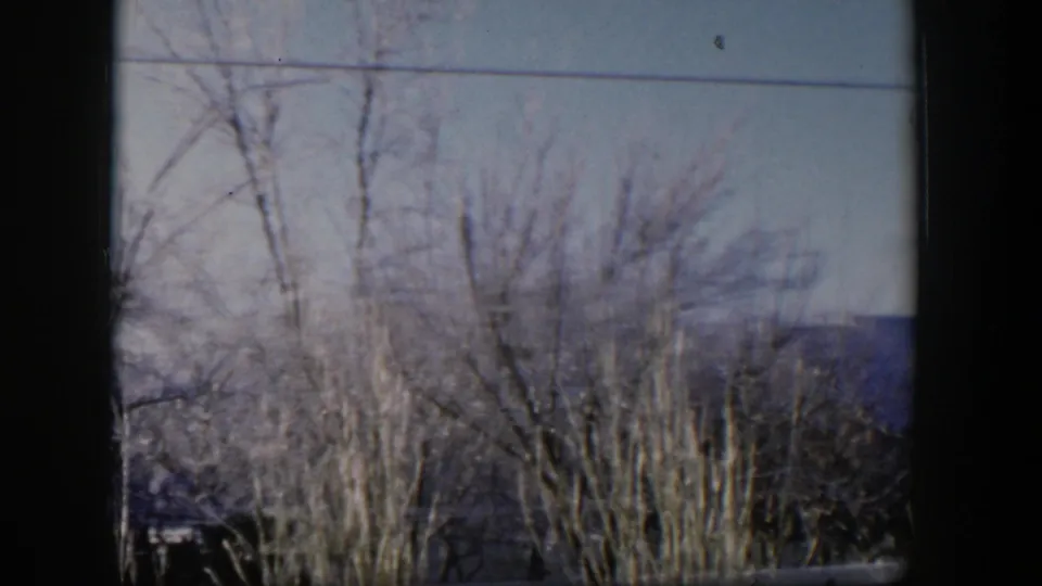 1954 Nevada home-movie frame with leafless treetops, winter brush, a distant blue hill line, pale sky, and slight film speckling.