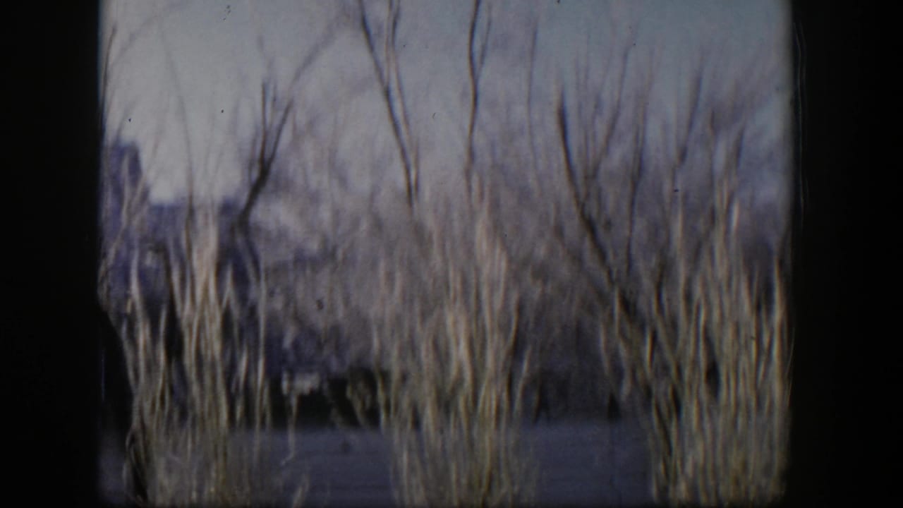 Tall dry grasses and bare trees seen through dark 8mm frame borders.
