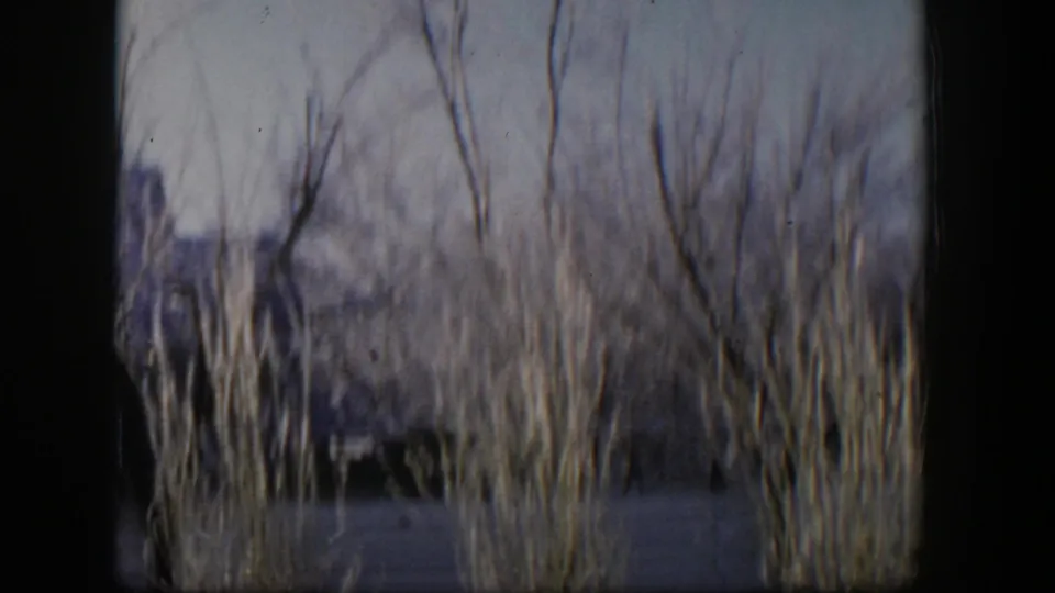 1954 Nevada home-movie frame showing dry grasses, leafless trees, and a soft distant residential shape.