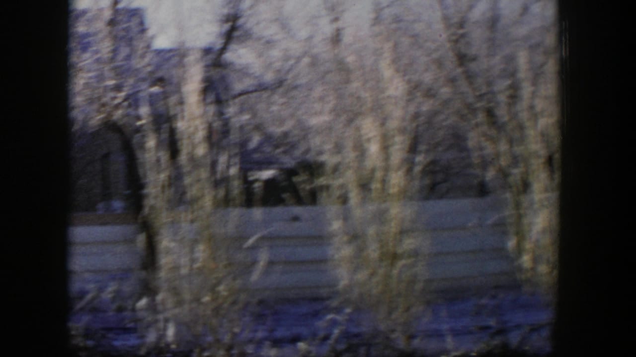 Dry grasses stand before a pale fence with trees and a house beyond.