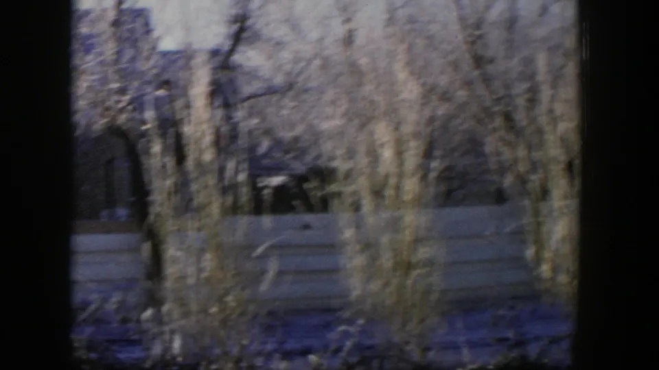 1954 Nevada yard view with tall dry plants, a pale fence, leafless trees, and a distant house.