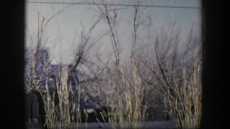1954 Nevada exterior frame with leafless branches, dry grasses, and a partly visible residential building.