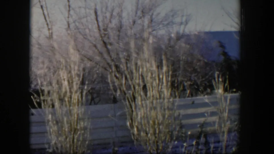 1954 Nevada home-movie frame with dry grasses, bare trees, a pale fence, and a distant roofline.