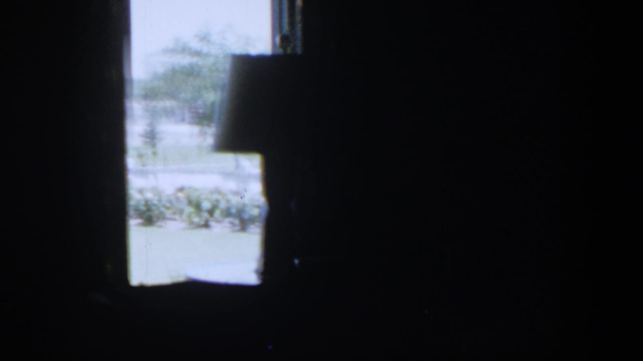 Dark room interior with a bright window and faint outdoor yard visible.