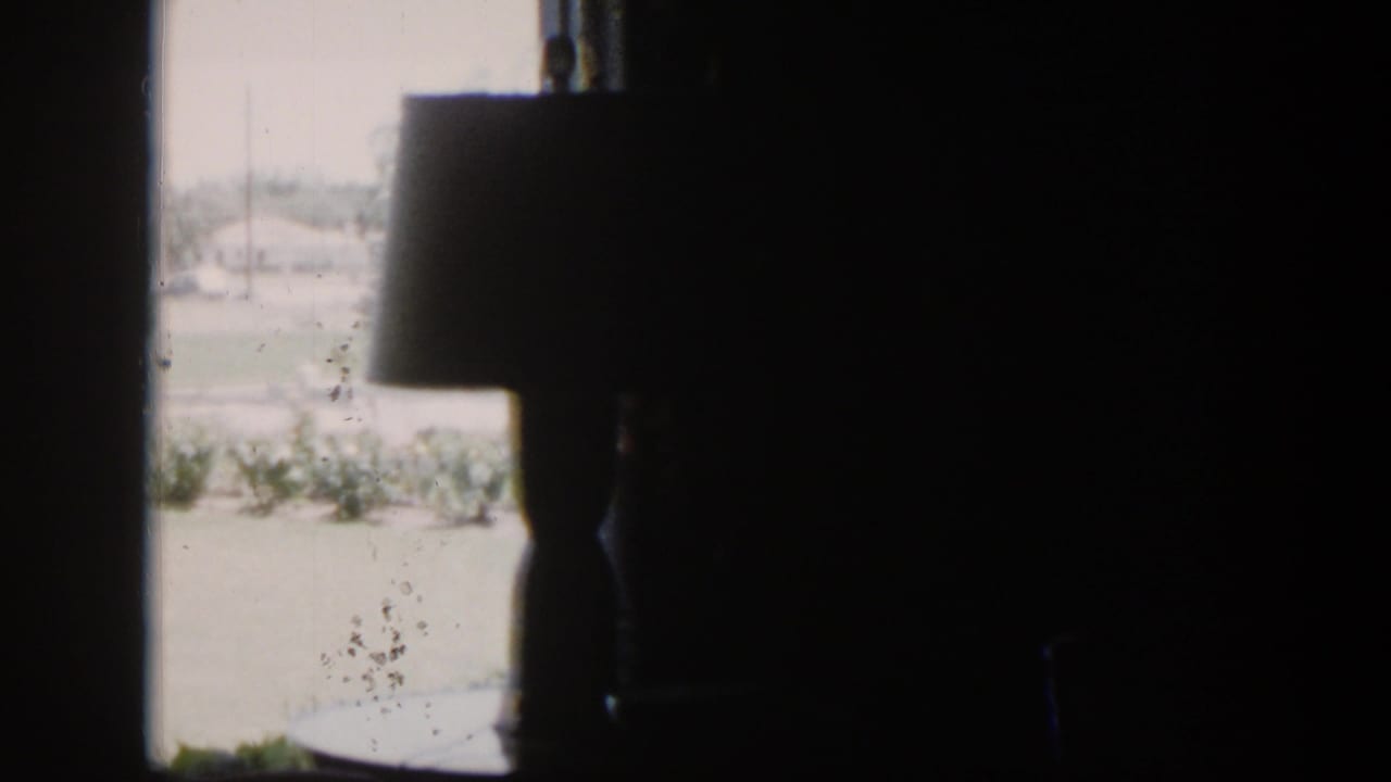 Dark interior with a lamp silhouette against a bright window and yard beyond.