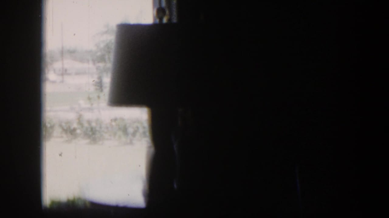 Lamp silhouette in a dark room beside a bright window view of a yard.