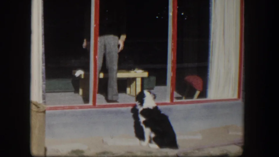 The dog sits attentively on the patio facing the glass while a man in light pants stands inside the Nevada home.