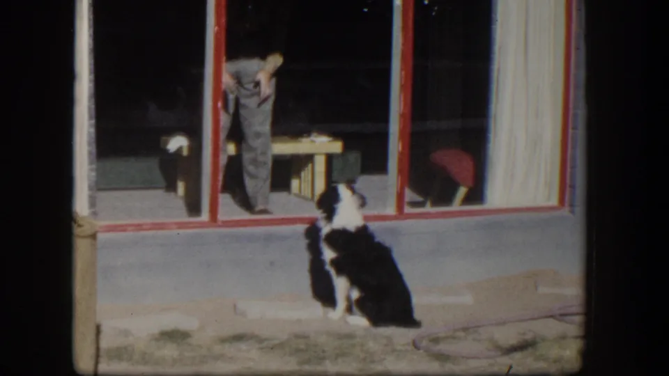 Near the end of the clip, the dog continues watching through the glass as the man stands inside the private residence.