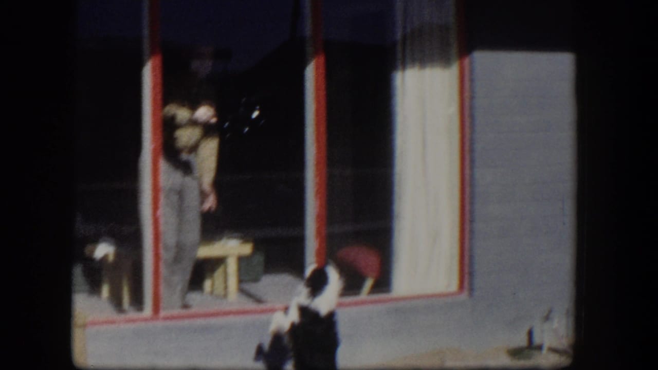 1954 Nevada home-movie frame showing a black and white dog outside a red-trimmed window while a person stands inside near a small table.