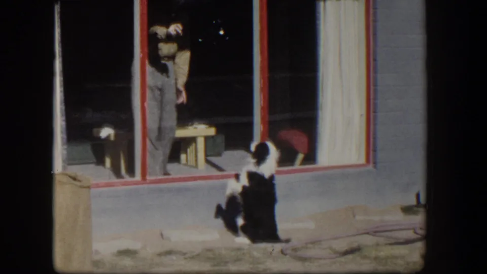 1954 Nevada frame with a dog waiting below the window and a partially visible person indoors near curtains and red window trim.