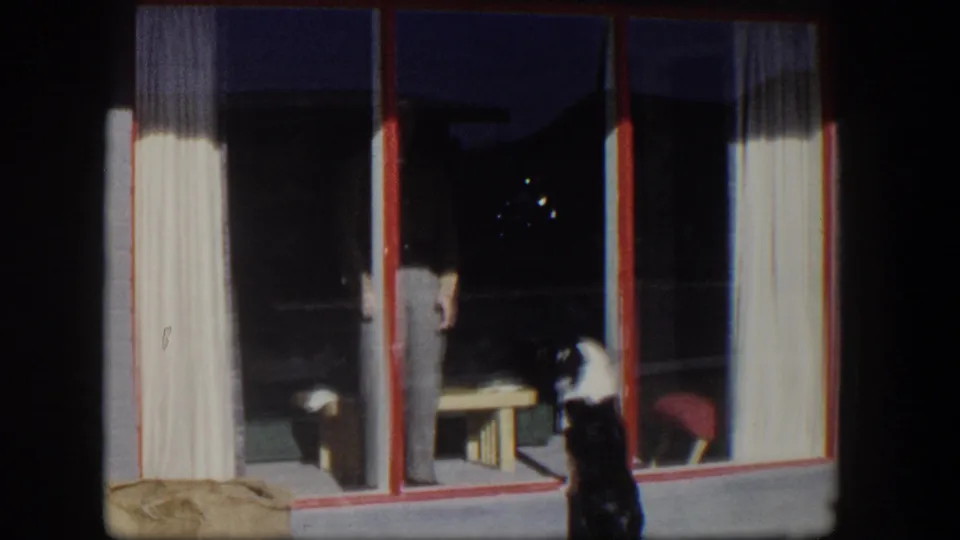 Late clip frame from 1954 Nevada footage with a person partly obscured behind window glass and the dog still watching from outside.