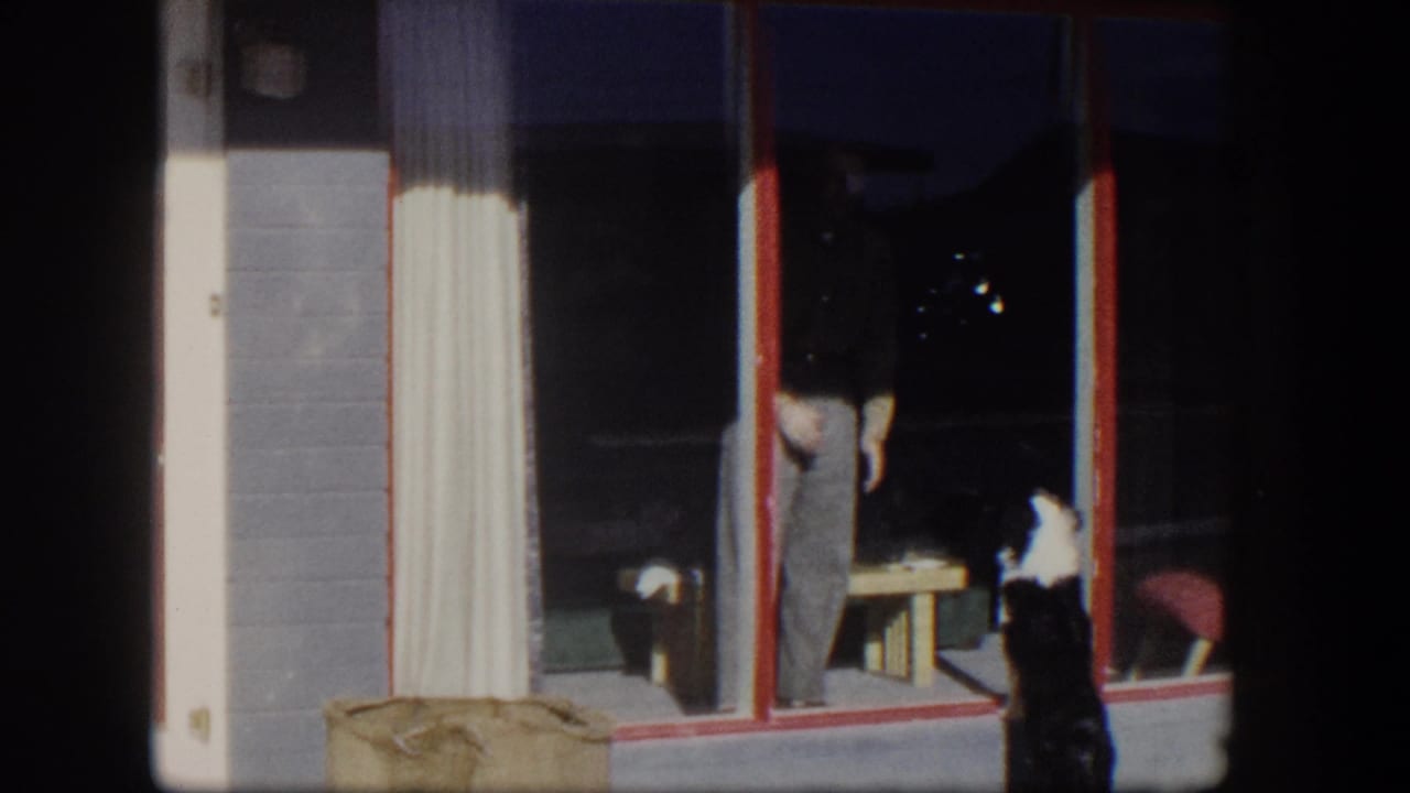 Man inside a glass doorway while a black-and-white dog stands outside near a red door.